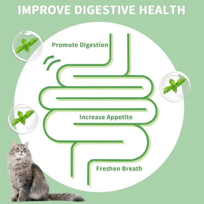 Catnip Toys Balls 4 Pcs, Extra Cat Energy Ball, Edible Kitten Silvervine Toys, Healthy Kitty Teeth Cleaning Dental Chew Toys, Cat Wall Treats