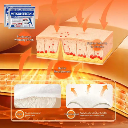 DRMITSUI Seiyaku Far Infrared Thermal Bone Pain Relief Patches – 6 Patches/Bag